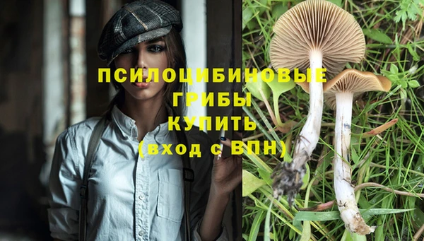 apvp Магас